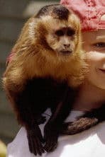 Finster profile photo