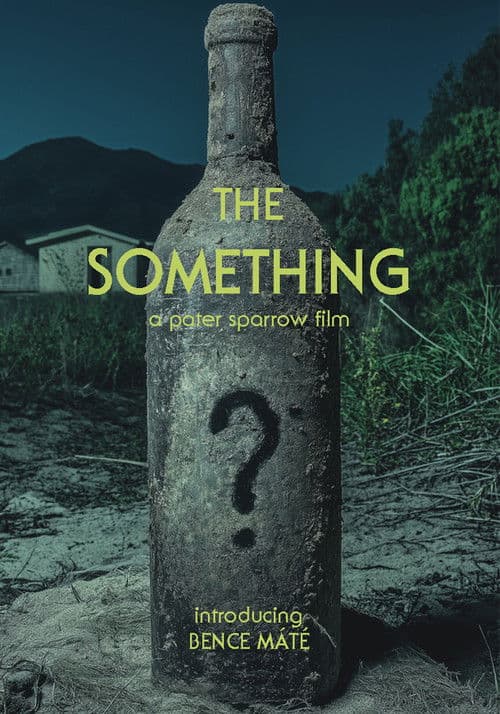 The Something poster