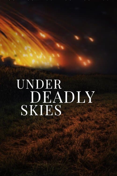 Under Deadly Skies: Ukraine's Eastern Front poster