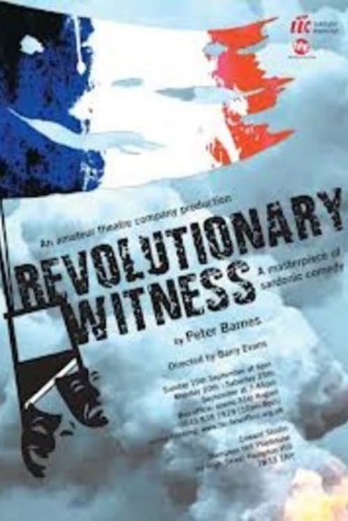Revolutionary Witness poster
