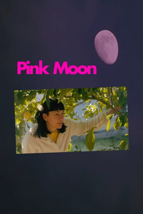 Pink Moon poster