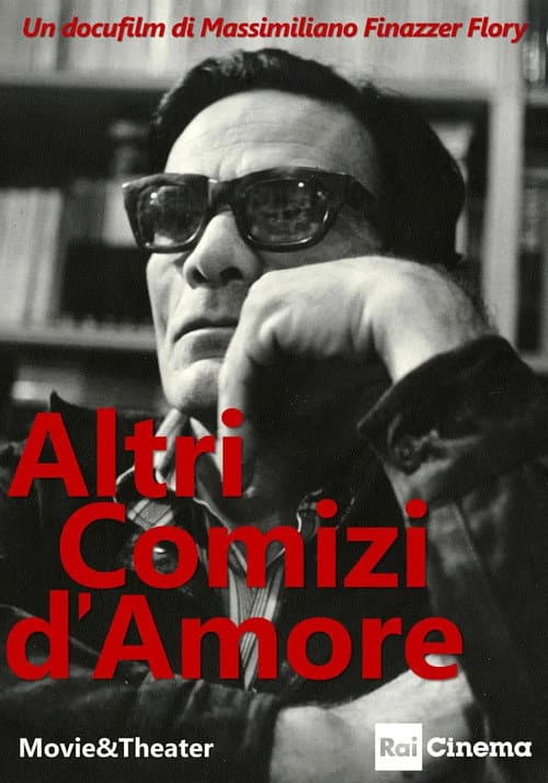 Altri Comizi d'Amore poster