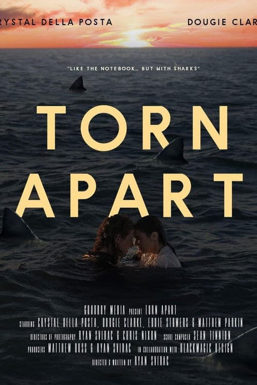 Torn Apart poster