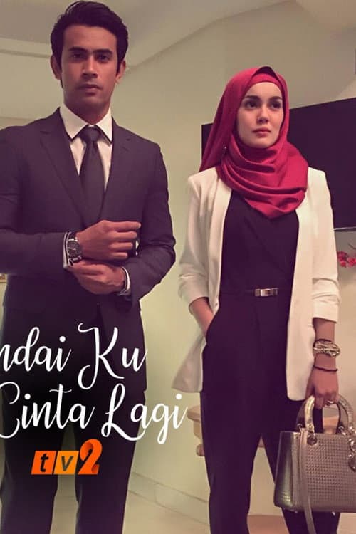 Andai Ku Cinta Lagi poster