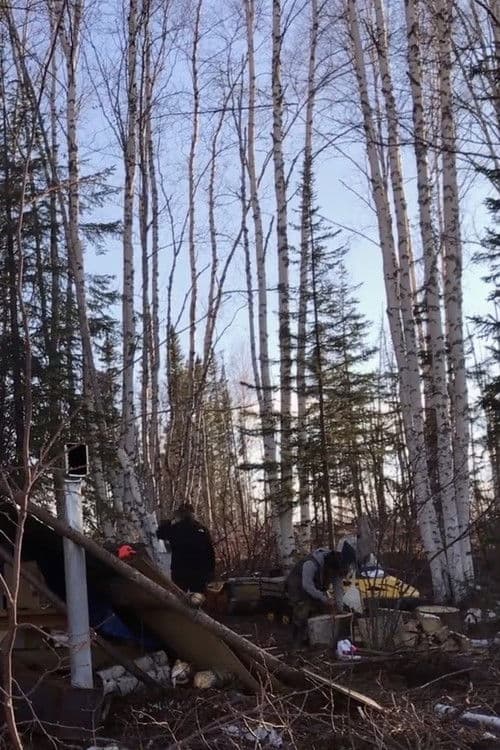 K'i Tah Amongst the Birch poster