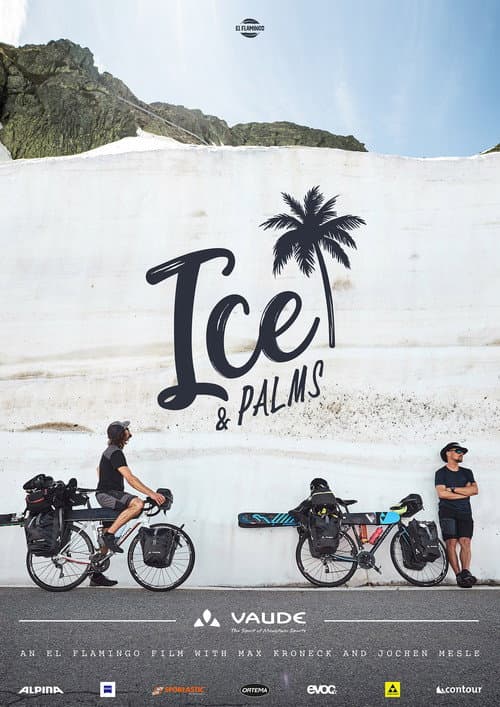 Ice & Palms poster