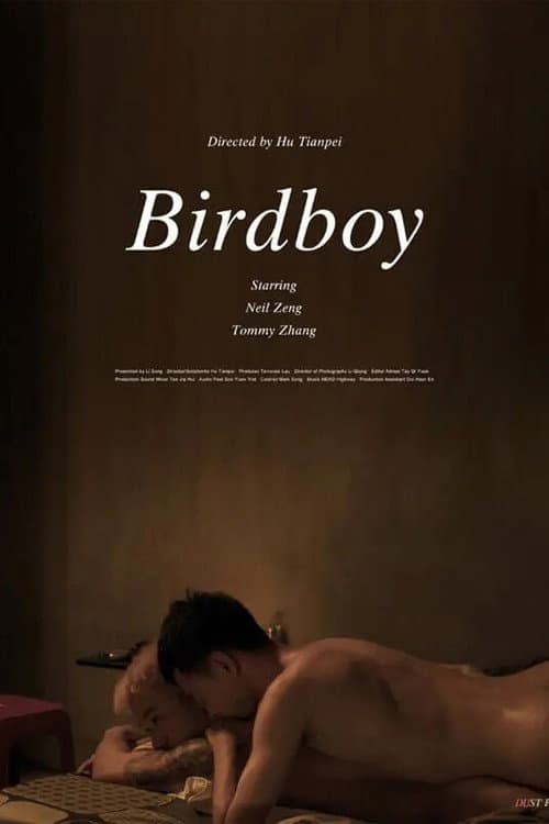 Birdboy poster