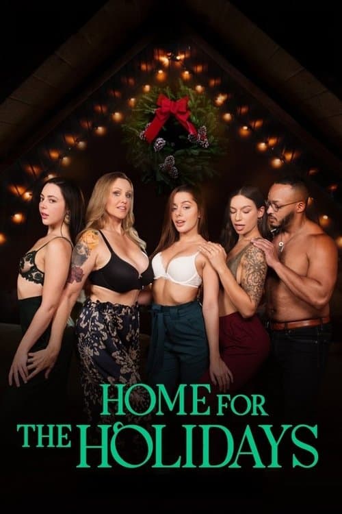 Home for the Holidays poster