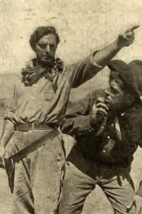 American Born poster