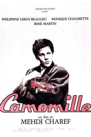 Camomille poster