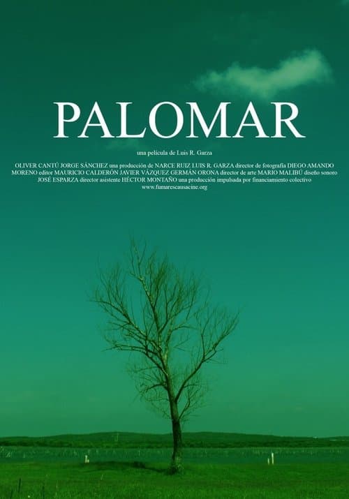Palomar poster