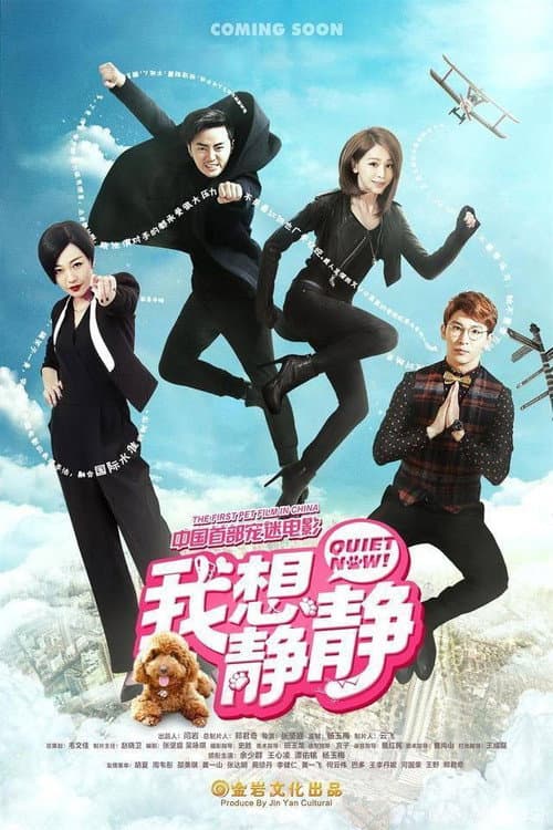 Quiet Now poster
