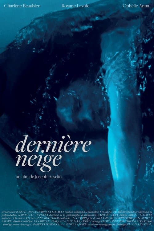 Dernière neige poster