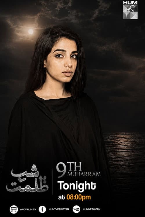 Shab-e-Zulmat poster