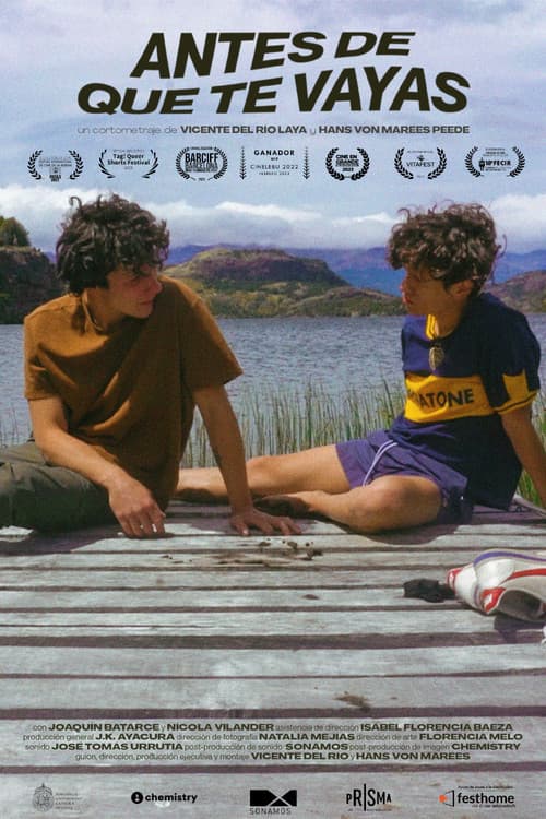 Before You Go poster