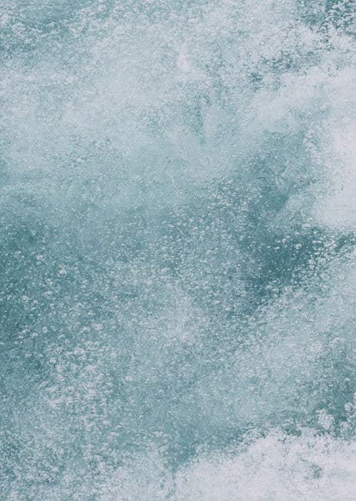 Shit Shower Shave poster