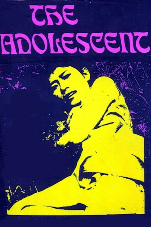The Adolescent poster