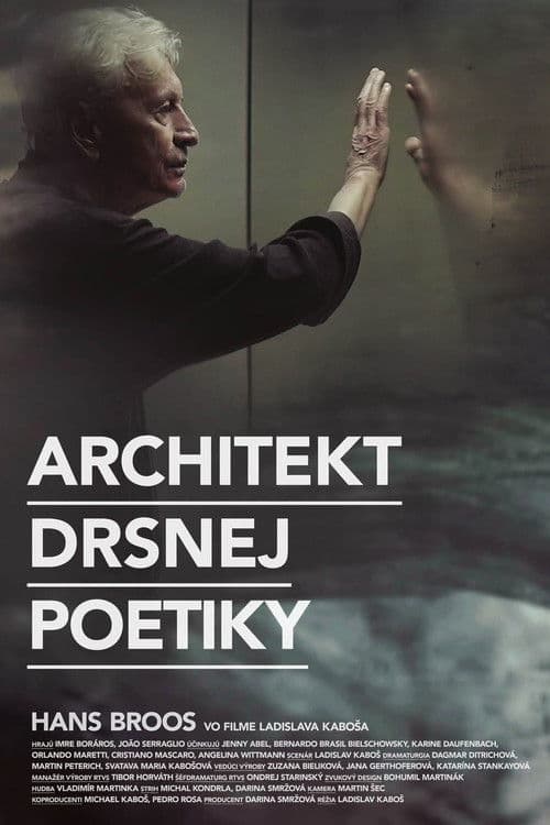 Architect of Brutal Poetry poster