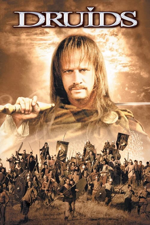 Druids poster