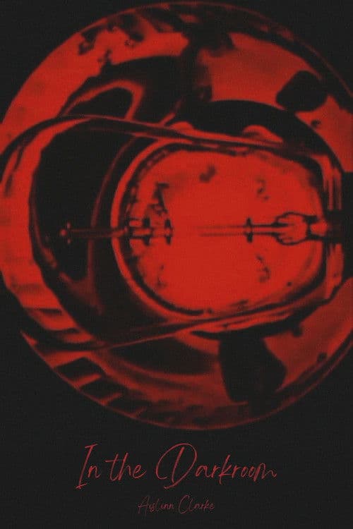In the Darkroom poster