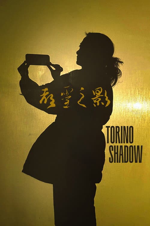 Torino Shadow poster