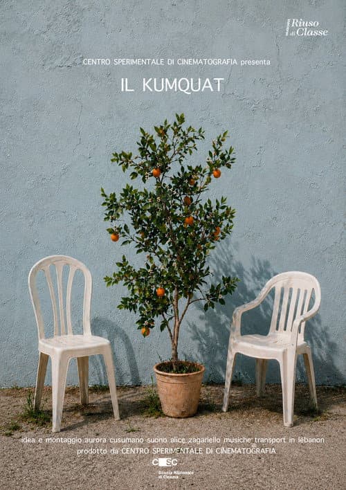 Il Kumquat poster