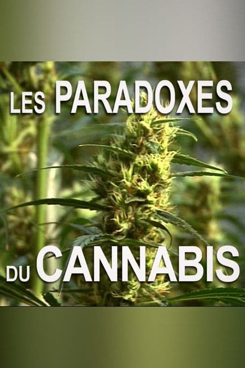 Les paradoxes du cannabis poster