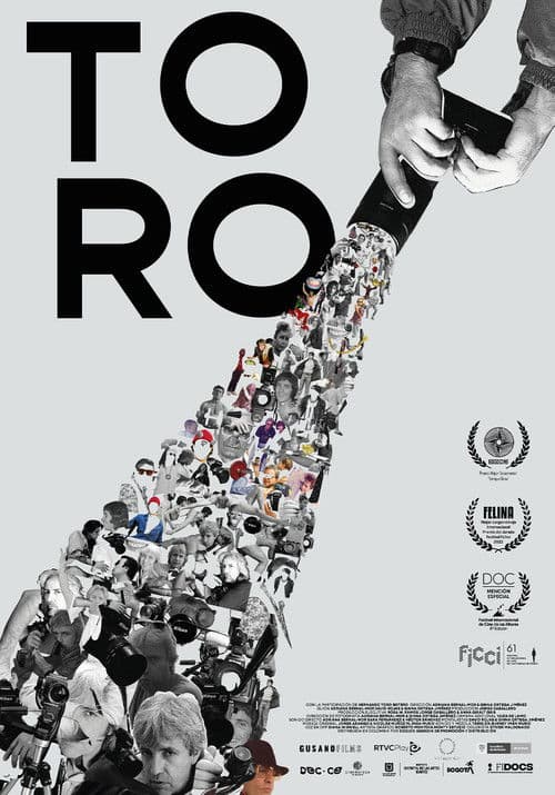 Toro poster