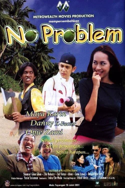 No Problem poster