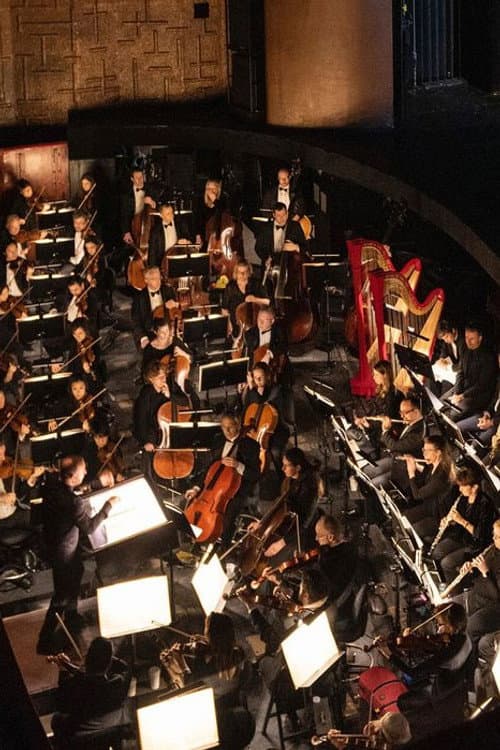 MET Orchestra profile photo