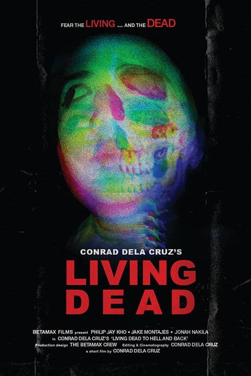 Living Dead to hell and back poster