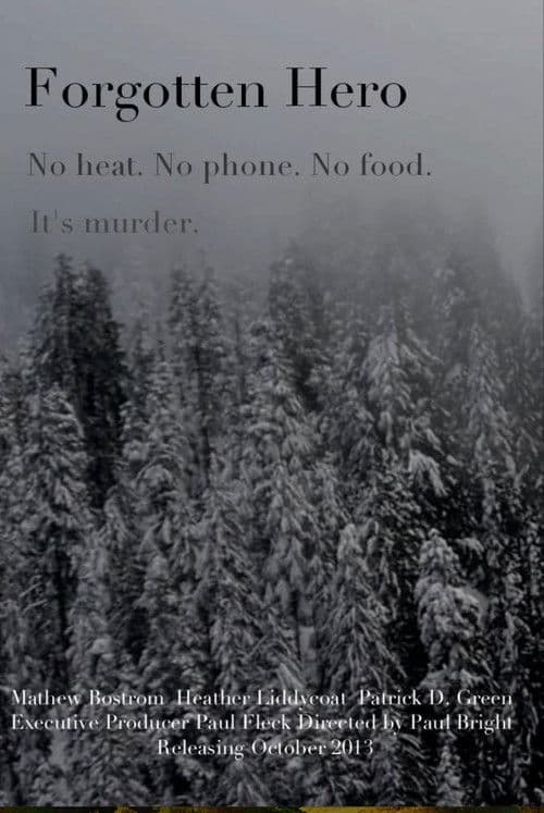 Forgotten Hero poster