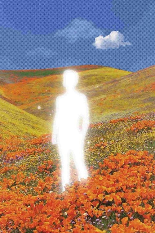 Newton's cradle poster