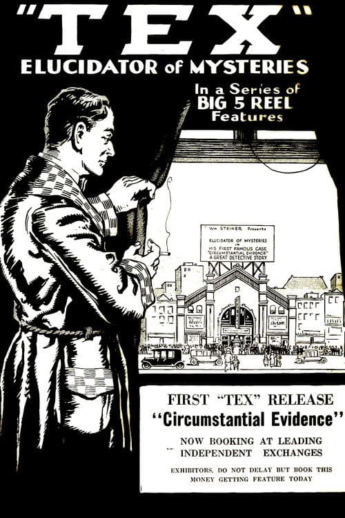 Detective Tex: Circumstantial Evidence poster