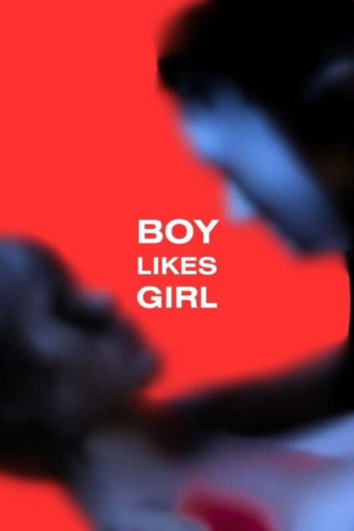 Boy Likes Girl poster