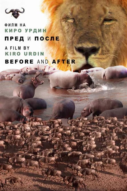 Before and After poster