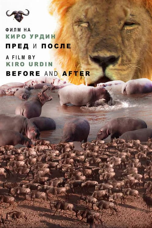 Before and After poster