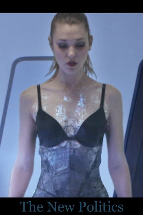 The New Politics poster