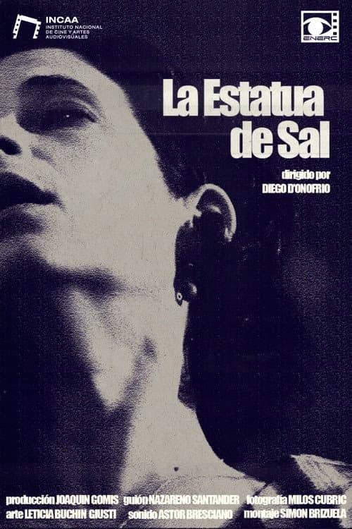 La estatua de sal poster