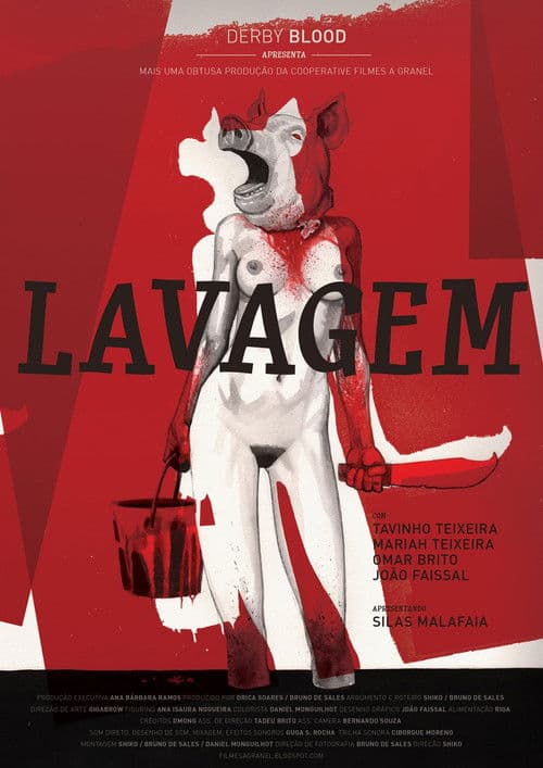 Lavagem poster