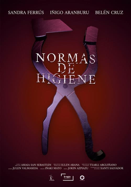 Hygiene Standards poster