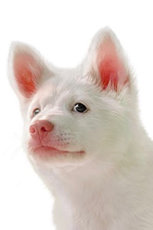 Kori profile photo