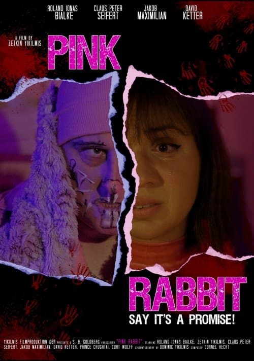 Pink Rabbit poster