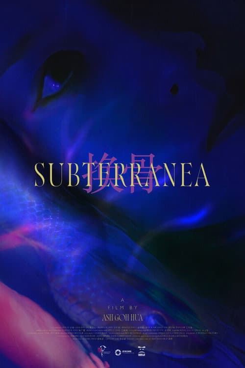 SUBTERRANEA poster