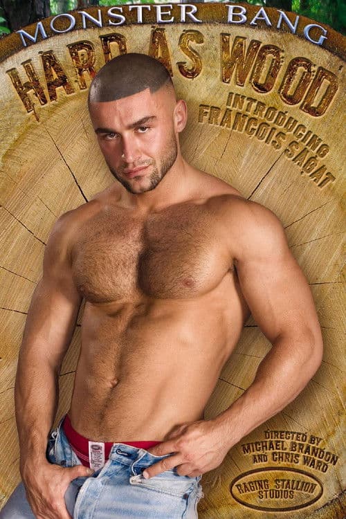Hard as Wood poster