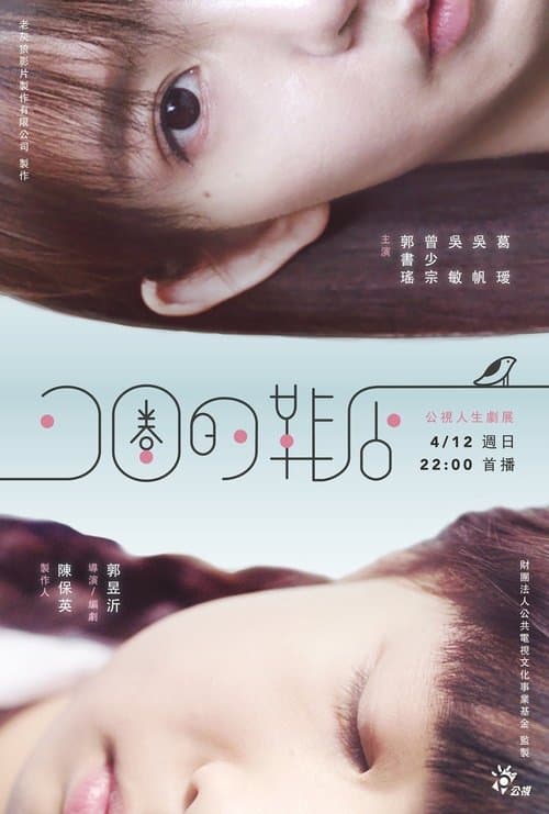 The Spiral Cage poster