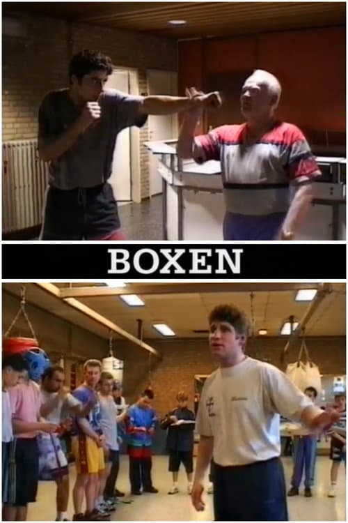 Boxen poster