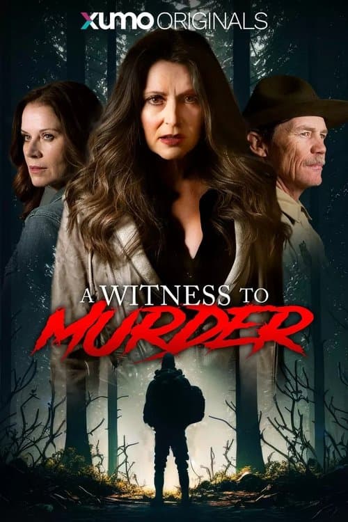 A Witness to Murder poster