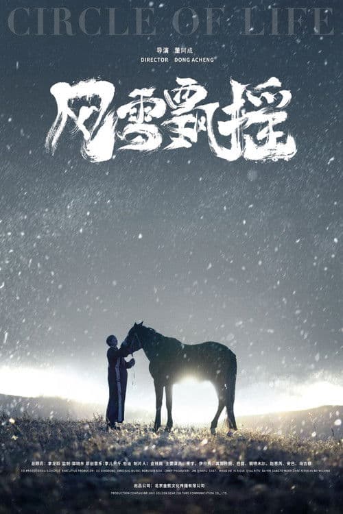 Circle of Life poster