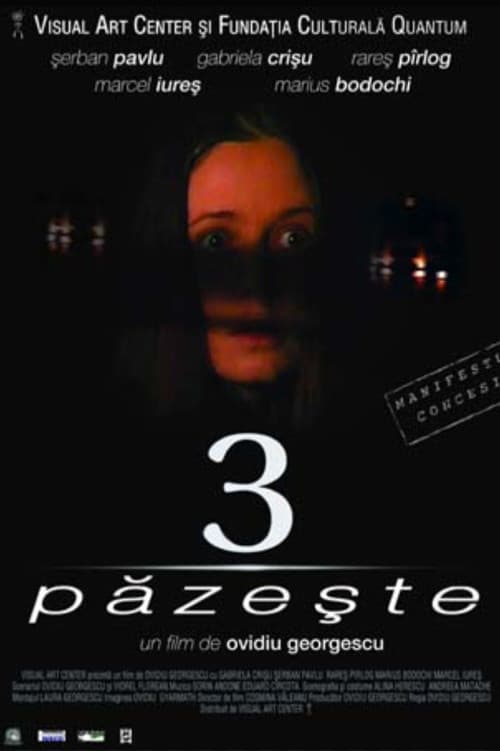 3 păzește poster